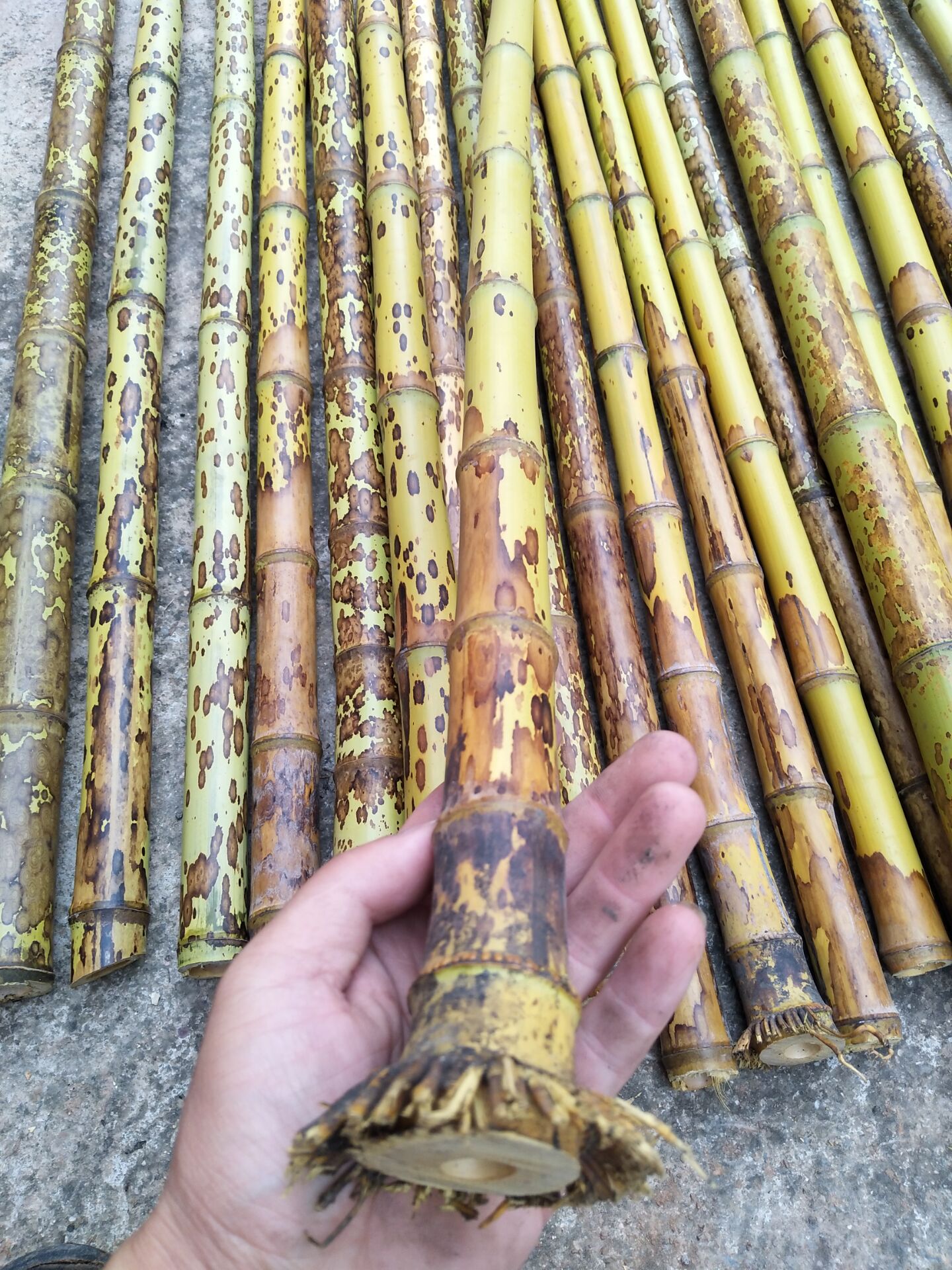 古董木雕笔筒：竹雕十八罗汉的魅力-竹雕/竹制品-淘宝好物网