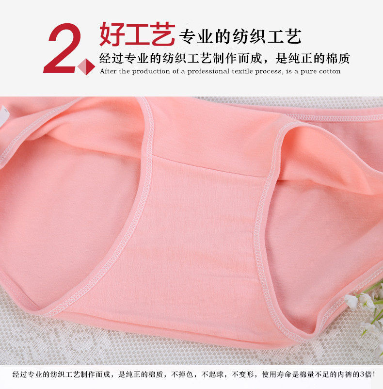 Slip jeunesse A001 en coton - Ref 644027 Image 21