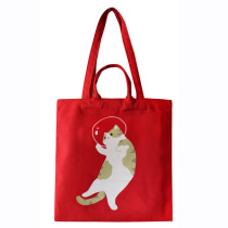 Ruo Suliang product homemade ins Super fire bag colorful cute cute literary woman shoulder hand canvas bag tide Korean version