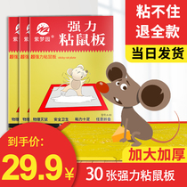 Sticky mouse plate increased thickening super strong mouse paste glue killing mouse artifact super strong sticky household