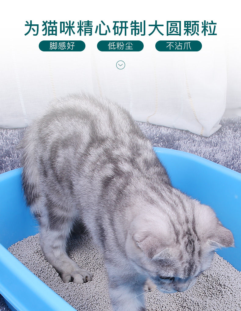 Tai Tai mèo xả rác 20 kg hạt lớn bentonite thống nhất khử mùi nước hoa chanh 10kg kg cát cát ưu đãi đặc biệt - Cat / Dog Beauty & Cleaning Supplies lược chải lông chó poodle