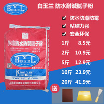 Exterior Wall Putty powder waterproof Putty powder repair wall cracks damaged skin anti-mold water-resistant atomic ash