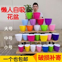 Colourful sloth flower pots Automatic suction triangular green-flower flowerpots No-hole indoor office Self-suction basin Large size bag