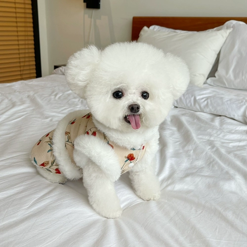 Демисезонная утепленная юбка, жилет, осенний сезон, цветочный принт