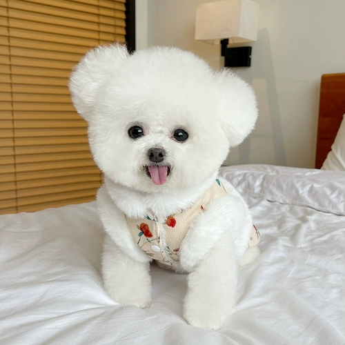 Демисезонная утепленная юбка, жилет, осенний сезон, цветочный принт