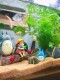 Creative Fish Tank Landscaping Cartoon Ornaments Desktop Gray Cat Micro Landscape Decorations Aquatic Fairy Tale World Scenery Complete Set