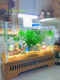 Creative Fish Tank Landscaping Cartoon Ornaments Desktop Gray Cat Micro Landscape Decorations Aquatic Fairy Tale World Scenery Complete Set
