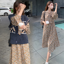 Pregnant woman suit Spring and autumn new temperament Damp Flowers Snowspun Long Dress Loose Spring Dress Pregnant Woman Long Sleeve Dress