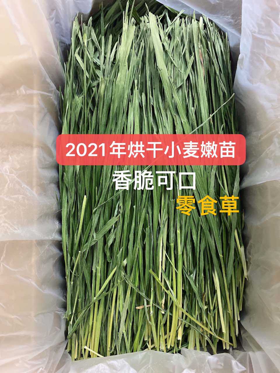 Mengqiqijia 2021 year dried wheat seedlings rabbit Dutch pig snack hay net weight 500g