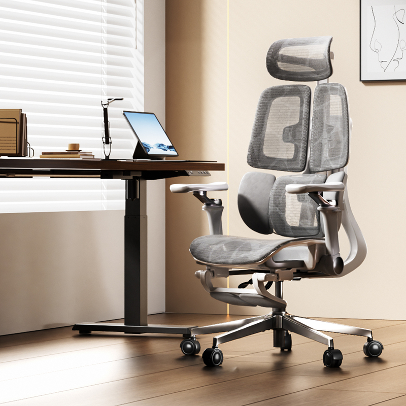 Igrow V3 Ergonomic Computer Chair Home Office Chair Comfortable Chair for Long Sitting with Backrest