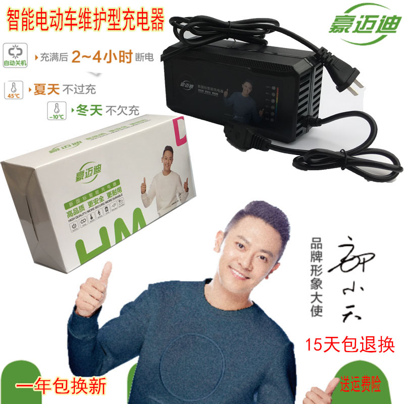 Electric vehicle battery charger 48V 60V 64V 72V 80V 96V12AH 20A 32 45AH