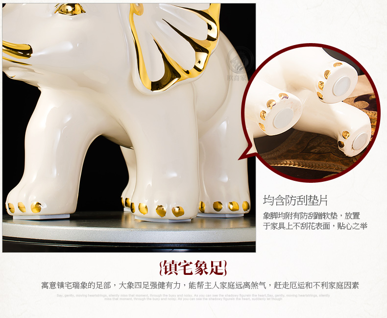 象_15.jpg