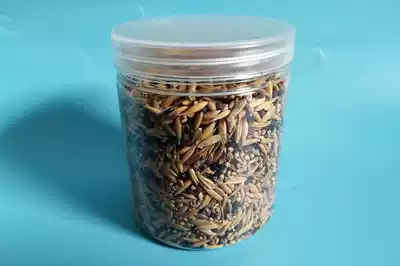 ANT FOOD-SEED 460ML SPECIAL FOOD FOR HARVESTING ANTS OTHER ANTS DO NOT EAT