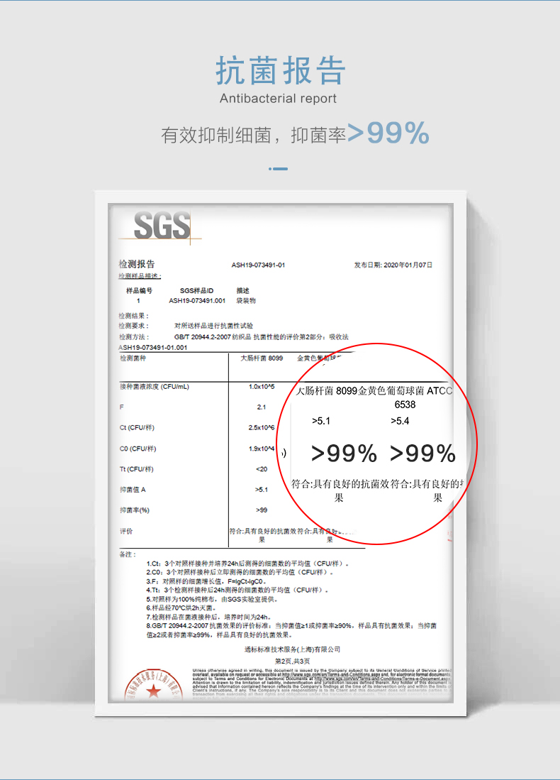 Somerelle 安睡宝 40S全棉面料 美国杜邦SILVADUR抗菌枕头 星月升级版 1个  天猫优惠券折后￥34包邮（￥79-45）