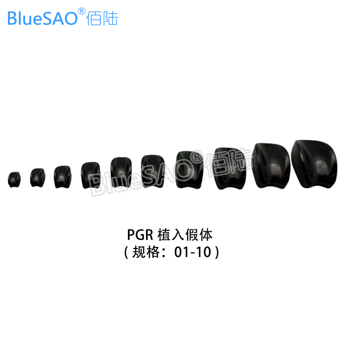 小动物康复的“隐形守护者”：多功能骨科器械解析