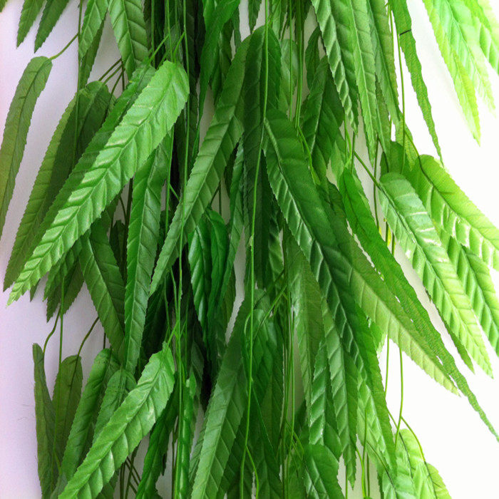 ��Ƚ��������������Ҷ����FZLSY777