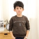 Wy421 Brown