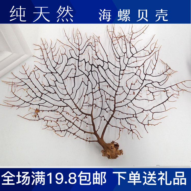 Natural Sea Iron Tree Heliu Coral Tree Furnishing Mediterranean Home Decorative Fish Tank Water Clan made of sea trees