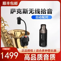 Беспроводной дорожный профессиональный портативный микрофон