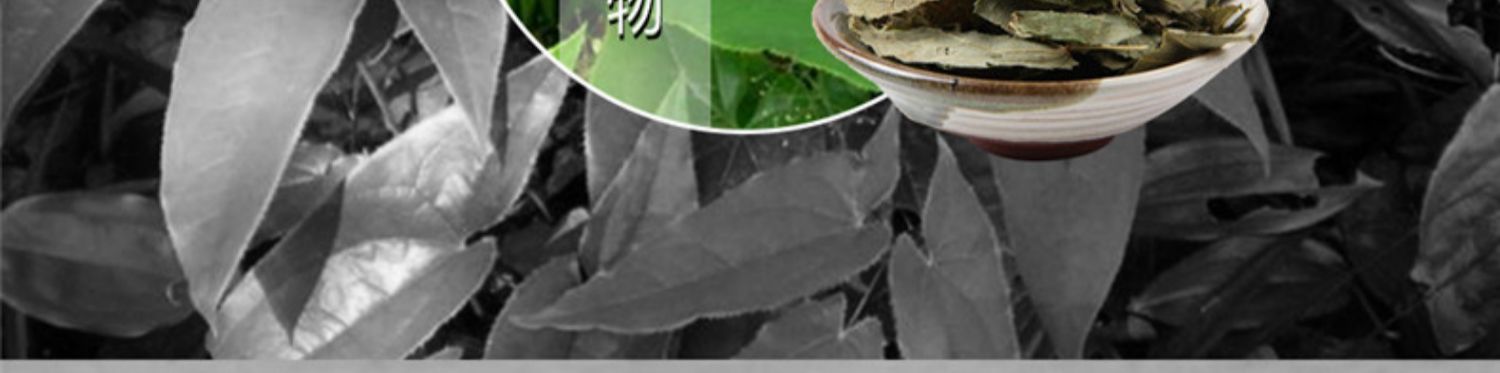 [Mua 1 tặng 1] Cát Lâm 洋 洋 淫 淫 淫 藿 藿 藿 藿 藿 藿 藿 藿 - Thực phẩm sức khỏe viên uống kẽm