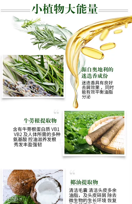 Dầu gội hương thảo Parker chống gàu chống ngứa kiểm soát dầu mịn màng loại bỏ dầu gội axit amin dầu gội không chứa silicone