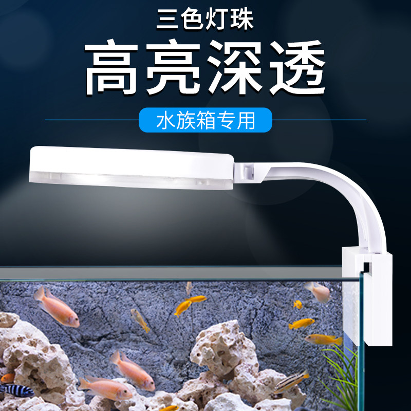 Shepherd Fish Tank Lamp LED Light Water Grass Cylinder Light Energy Saving Splash Water Floodlight Small Aquarium Bracket Build View