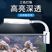 Shepherd Fish Tank Lamp LED Light Water Grass Cylinder Light Energy Saving Splash Water Floodlight Small Aquarium Bracket Build View