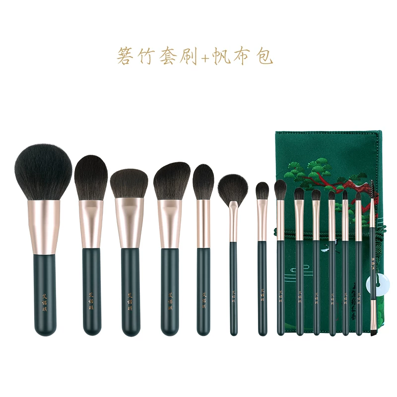 Brush, set, foundation, 14 pieces, for beginners