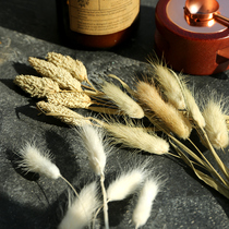 Fire Lacquer Seal Decoration Dry Flowers Wheat Ears Rabbit Tail Grass Please Post Envelope Gift Decoration Material Flowers Fire Lacquer Print Plant