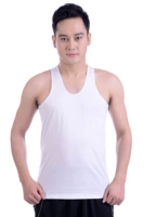 Áo thun cotton nam trung niên cotton trắng cộng với áo thun cotton trung và già. áo 3 lỗ nam rộng nách