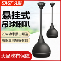 SSTE S5-1 lob audio hanging boom ceiling ceiling ceiling speaker background music ceiling speaker