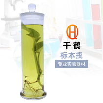Floating plant specimen bottle transparent glass pathology Chinese herbal medicine bubble sealed tank straight sample display laboratory 120*150 180 210 240 300 350 40