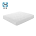 Sealy Sealy nệm bedspread 360 độ toàn diện Sealy nệm bảo vệ bedspread đặc biệt - Trang bị tấm Trang bị tấm