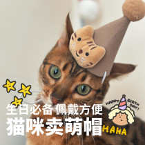 Gift Hat Birthday Hat Cat Big Face Cartoon Cute Headwear Party Photo Props Supplies
