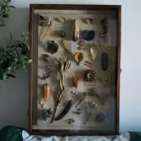 Персиковый стеклянный холст, 10 дюймов, 14×19см