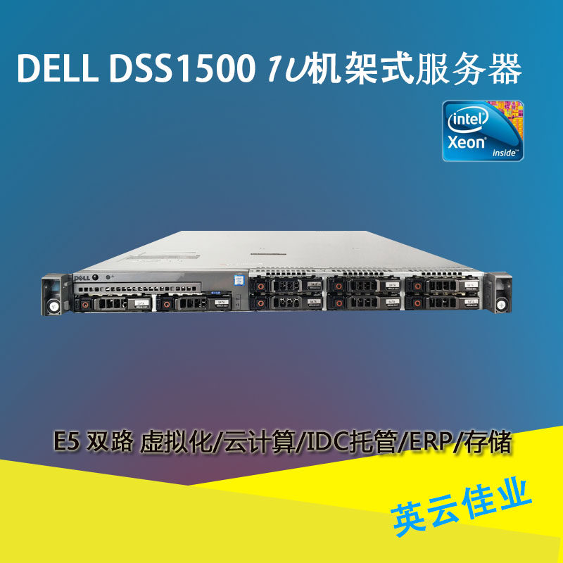 DELL DSS1500 server virtualization VPS multi-open rendering enterprise depository ERP database spell R430
