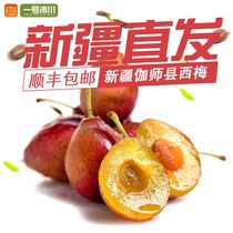(No. 1 Glacier) Gold Medal Xinjiang Little French Plum Baby Supplementary Food Kashgar American Damei Li Zi