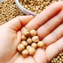 (No. 1 Glacier) Xinjiang Super Chickpeas 2kg of raw beans new beans original flavor no alternative to soybeans