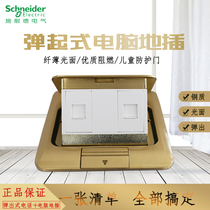 Schneider ground plug 225 network phone full copper waterproof weak electric ground socket dual phone computer ground plug