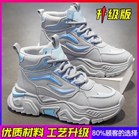 Серый синий (обновление)