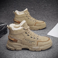 Благосостояние Crashi