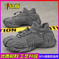 Основное обновление модели картин