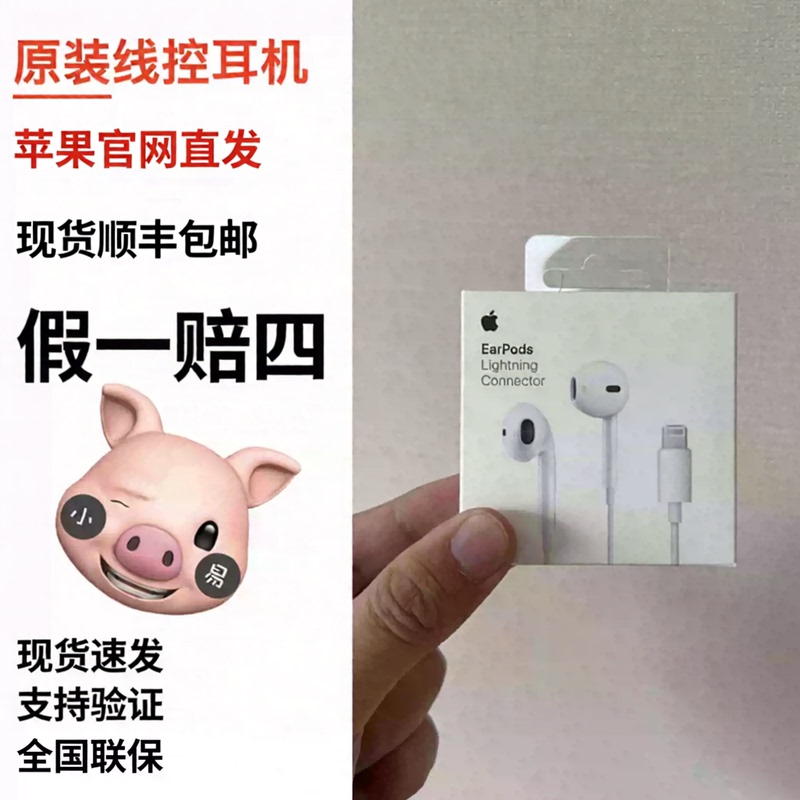 Apple Original Wired Earphones with Usb-C Lightning Interface, Wired Earpods iPhone Dedicated Lightning