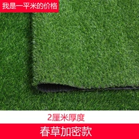 2 см. Зашифрованная весенняя трава горячая распродажа