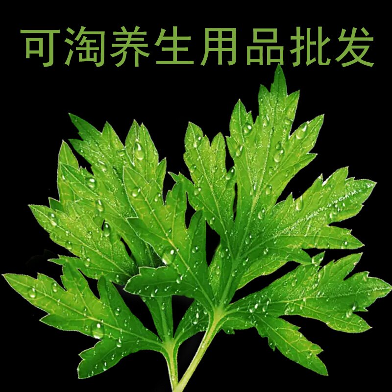 可淘养生用品批发