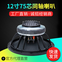 High-end 12-inch full-frequency coaxial speaker DIY speaker professional return audio modification professional speaker 8 Euro