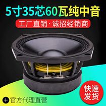 5 inch pure midrange horn 35 core 100 magnetic linear array special speaker ordinary magnetic double 12 linear array pure midrange 8 Euro