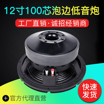 12 inch 100 wicking side overweight low sound cannons horn imported carbon fiber paper basin 220 magnetic double magnetic 500-1000W