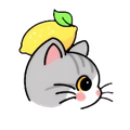 Cute Baby 宠物设计工作室