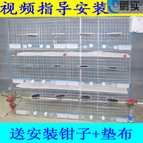 Large bold pigeon cage Breeding cage Matching cage 12 16 pigeons cage Meat pigeons carrier pigeons Oversized cage Three-layer cage